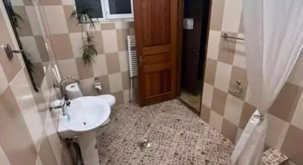 376341769