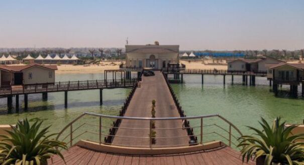 ترنج6