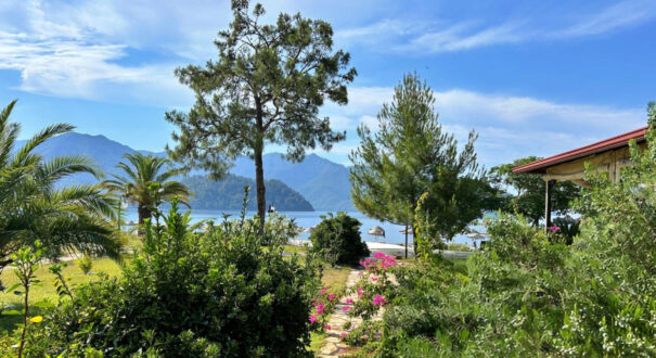 New Project (43)